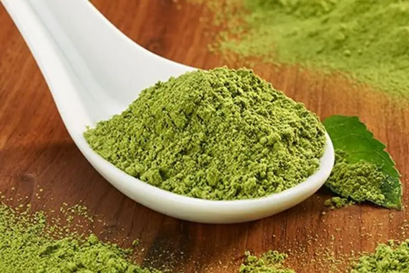 Trà xanh có thể hỗ trợ trị thâm mụn hiệu quả