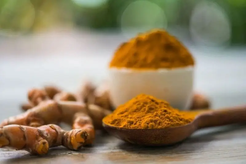 Nghệ có tác dụng kháng khuẩn