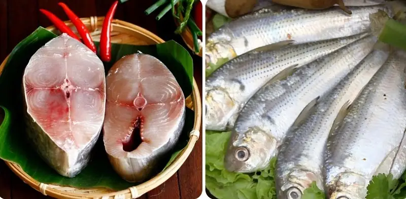 Có thể ăn một số loại cá biển