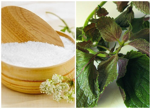 Muối trắng và tía tô sẽ giúp tẩy nhanh mụn thịt và bảo vệ da khỏi vi khuẩn xâm nhập, nhanh hồi phục hơn. Trị mụn thịt bằng tía tô