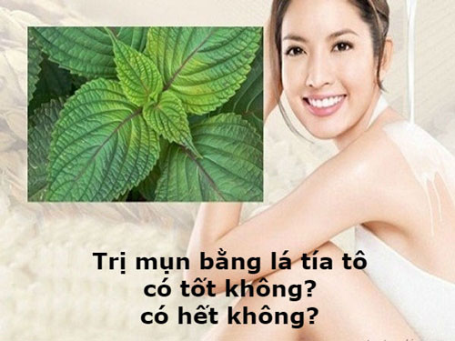 Trị mụn thịt bằng lá tía tô không có khả năng xóa tận gốc các nốt mụn thịt Trị mụn thịt bằng lá tía tô
