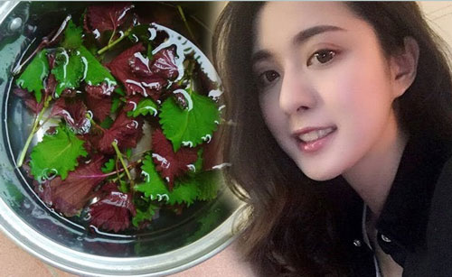 á tía tô trị mụn thịt được bởi nó có chứa lượng axit linoeic cao, giúp trao đổi chất, tái tạo tế bào mới tốt hơn. trị mụn thịt bằng lá tía tô