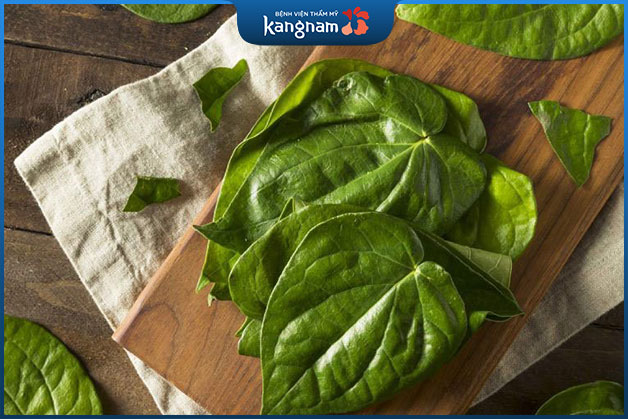 Lá trầu không có tác dụng giảm tiết mồ hôi nách