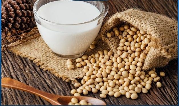 Đậu nành hỗ trợ tăng size vòng 1 hiệu quả