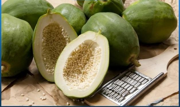 Đu đủ xanh là thực phẩm hỗ trợ tăng kích thước vòng ngực