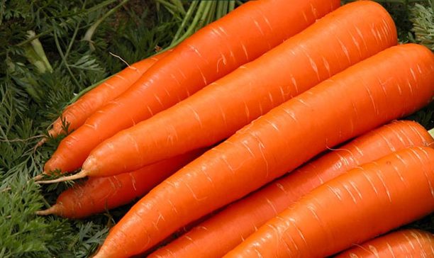 Nên bổ sung thêm cà rốt