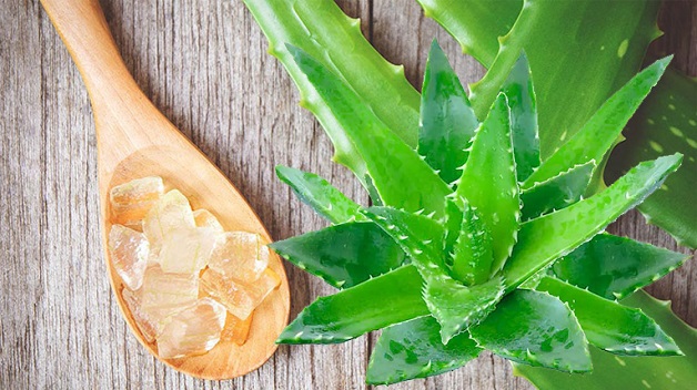 Nha đam tươi có khả năng cấp ẩm, dưỡng da sáng hồng, khỏe mạnh