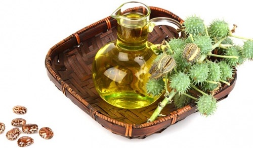 Thầu dầu có khả năng đẩy nhân nốt ruồi lên và giảm bớt sắc tố thâm đen của nó