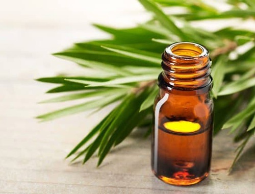 chữa mụn ở mũi với dầu tràm