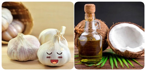 Xóa nốt ruồi bằng tỏi và dầu dừa