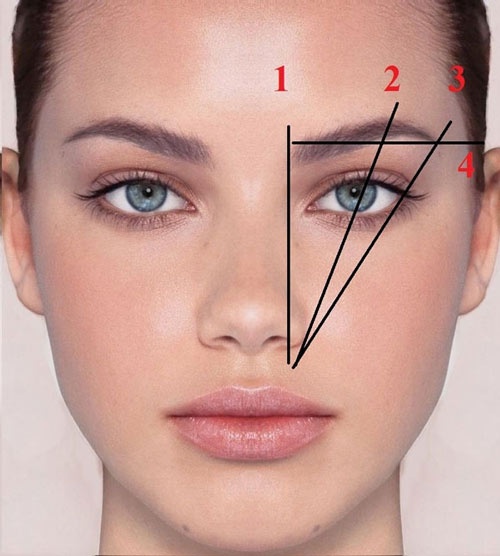 dáng lông mày cánh cung