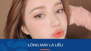 Lông mày lá liễu: Định hình xu hướng và bí quyết chăm sóc hoàn hảo