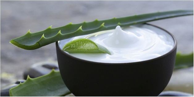 Chữa môi thâm nặng ngay lập tức bằng nha đam, sữa chua