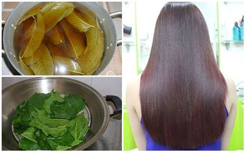 cách chữa rụng tóc sau sinh cách chữa rụng tóc sau sinh