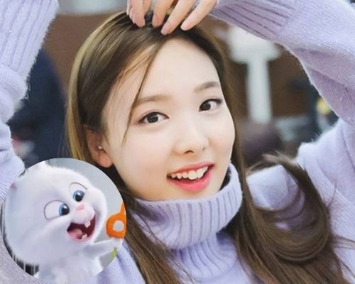 Na Yeon (Twice) nhìn y hệt cô thỏ đáng yêu răng thỏ đẹp