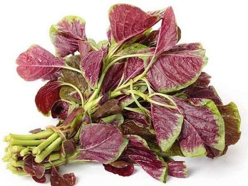 trị rụng tóc đơn giản tại nhà bằng rau dền