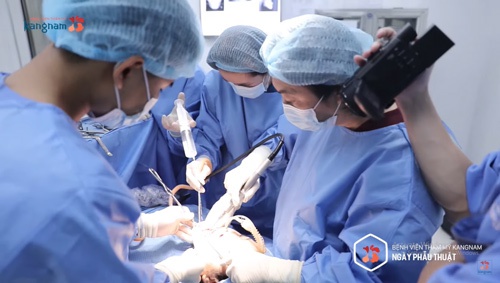 Trang Nhung HTLX 2019