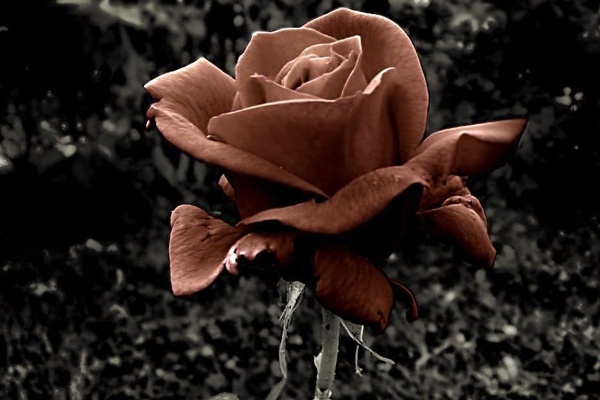 hiện trạng vùng kín