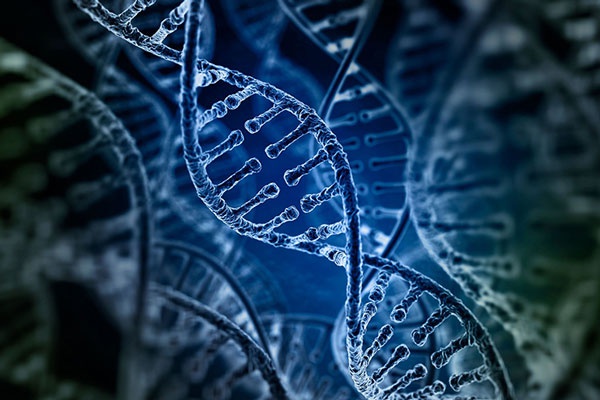 điện di có tác dụng gì