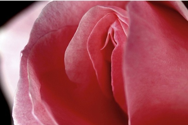 môi bé bị lồi bẩm sinh