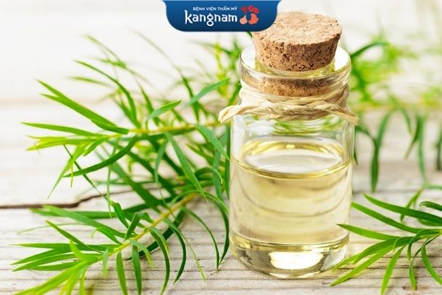 Dùng dầu tràm xóa thẹo tại nhà