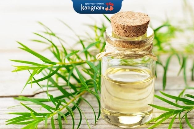Khử thâm mụn với tinh dầu tràm