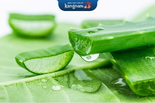 Nha đam có chứa nhiều vitamin E rất tốt cho làn da