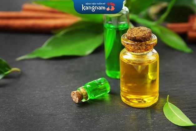 Tinh dầu trà xanh có khả năng trị mụn, xóa sẹo nhanh chóng
