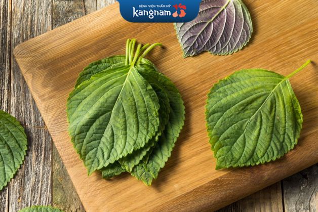 Xóa sạch mụn ẩn với lá tía tô