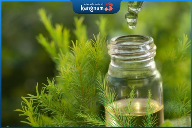 Dầu tràm trà tốt cho da mụn