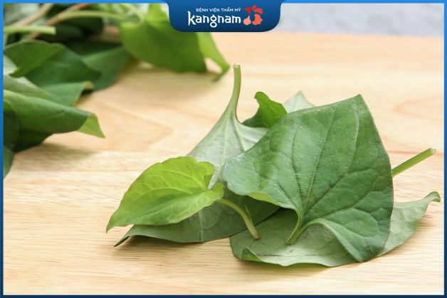 Diếp cá có chứa nhiều hoạt chất kháng viêm và kháng khuẩn