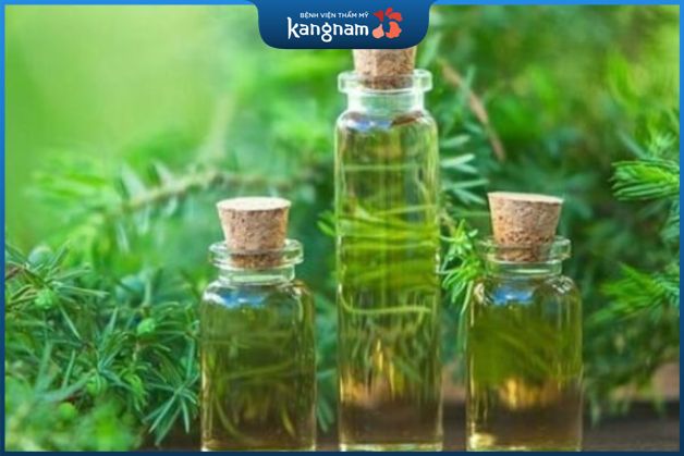 Trị mụn thâm đỏ bằng tinh dầu tràm trà