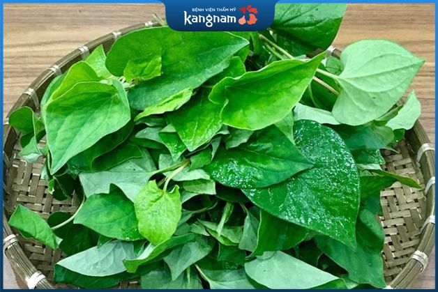 Cách trị nám da mặt lâu năm từ rau diếp