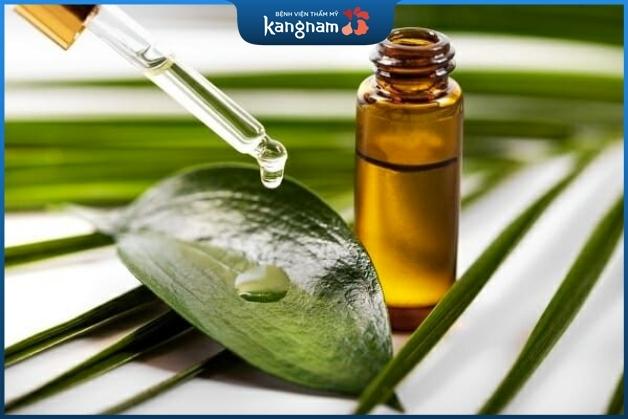 Xóa mụn ẩn bằng dầu tràm trà