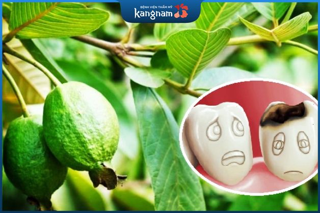 Sử dụng lá ổi để làm trắng răng