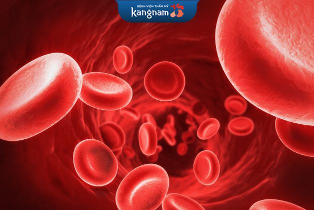 Những ai không nên Cắt mí Perfect Eyes? – Người bị máu khó đông