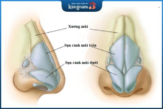 Chỉnh hình xương mũi đem lại dáng mũi thẳng hơn