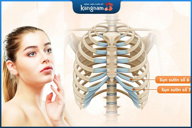 Kiểm soát nguy cơ đào thải sụn hiệu quả