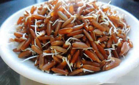 Tắm trắng bằng Mầm gạo và Vitamin E