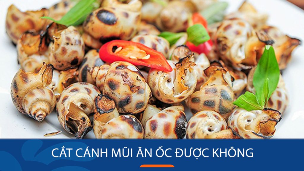 Cắt cánh mũi ăn ốc được không? Giải đáp thắc mắc từ chuyên gia