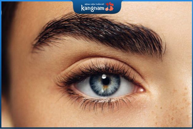 Lông mày rậm và cong hay còn gọi là lông mày lá liễu