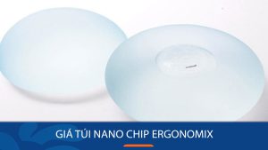 Giá túi nano chip Ergonomix mới nhất 2025