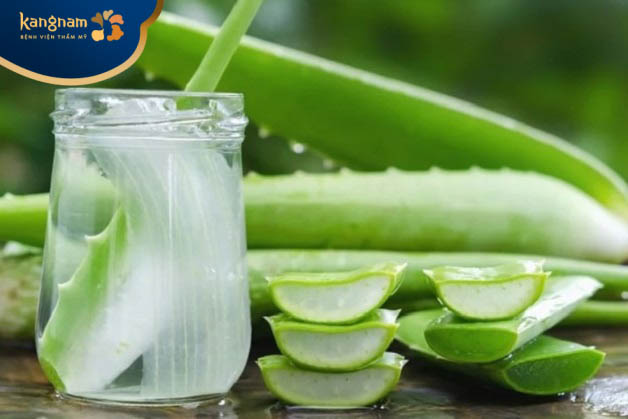 Trị mụn ở mông bằng nha đam vừa an toàn lại hiệu quả