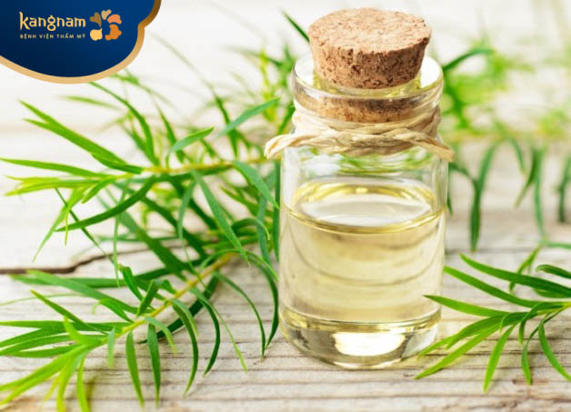 Tinh dầu tràm trị mụn mọc ở mông