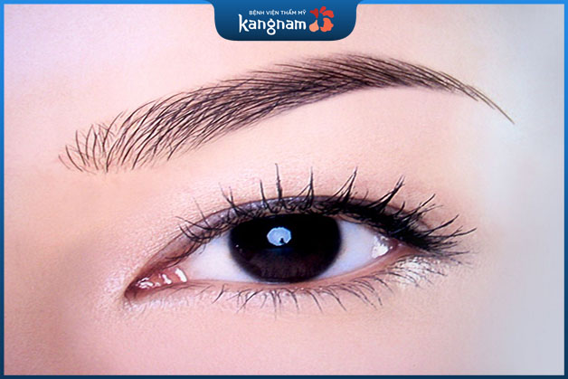 Tướng mày lá liễu mang đến vẻ thanh thoát, nhẹ nhàng