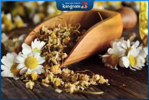 Phục hồi da hư tổn bằng hoa cúc