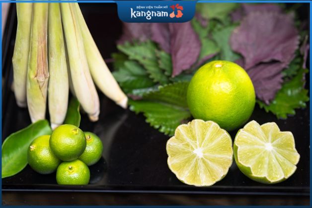 Tía tô có tính kháng viêm, kháng khuẩn hiệu quả