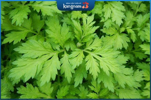 cách xông mặt trị mụn ẩn