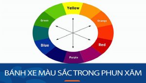 Bánh xe màu sắc trong phun xăm là gì? nguyên lý và cách làm chủ màu sắc