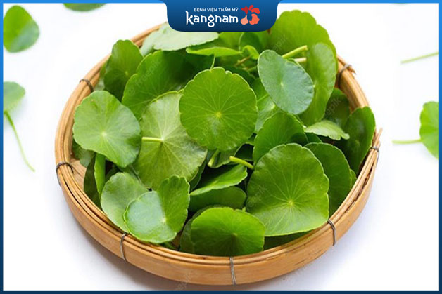 Hoạt chất saponin trong rau má vô cùng lành tính có khả năng trị mụn nhanh chóng